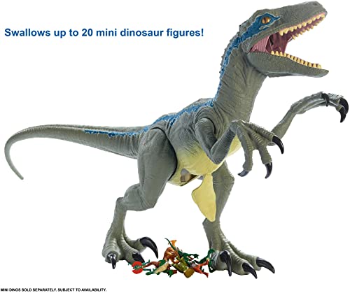 Jurassic World Super Colossal Velociraptor Blue Realistic Color, Articulated Arms & Legs, [Exclusive]