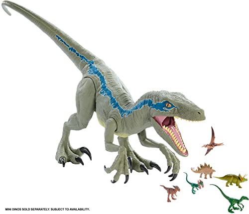 Jurassic World Super Colossal Velociraptor Blue Realistic Color, Articulated Arms & Legs, [Exclusive]