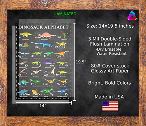 Alphabet Educational Dinosaur Poster with A to Z Dinosaur Names Laminated 14x19.5