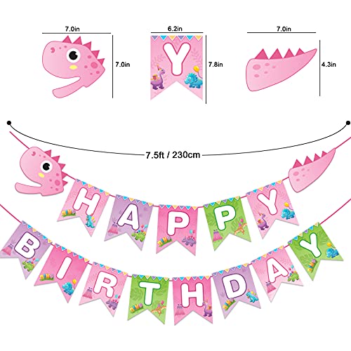 170 Piece Pink Dinosaur Party Kit For Girls Birthday Party Decoration