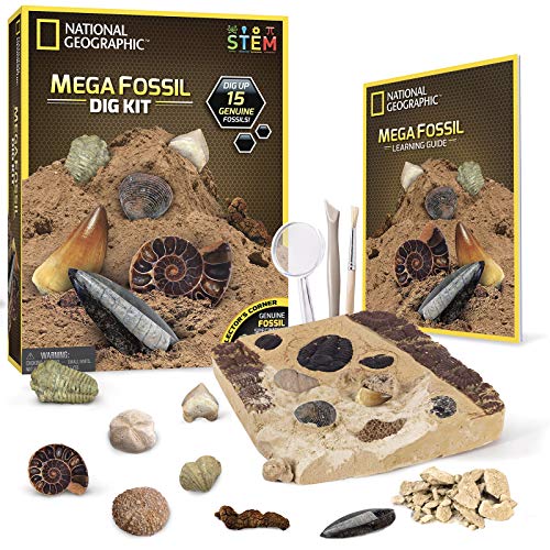 National Geographic Mega Fossil Dig Kit with 15 Real Fossils, Dinosaur Bones, Shark Teeth